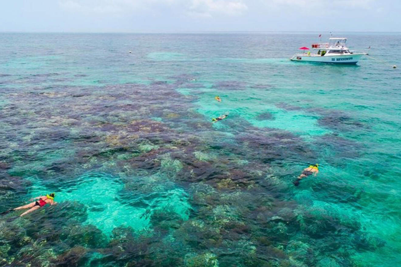 People diving at coral reef